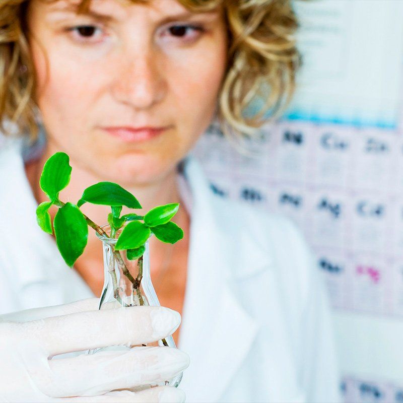 Medicina ambiental